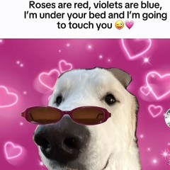 𝚌𝚎𝚛𝚝𝚒𝚏𝚒𝚎𝚍 𝚌𝚊𝚝 𝚕𝚘𝚟𝚎𝚛