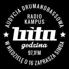 Bita Godzina