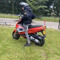 ttje