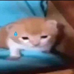Đỗ Tus