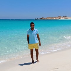 Ahmed Abdel-sabour