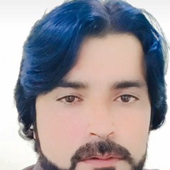 Habib Jaan