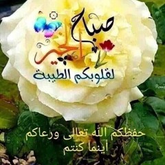 ahmed