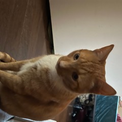 fiona