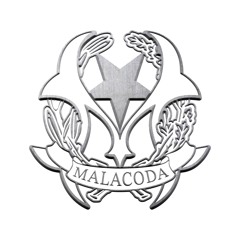 Malacoda
