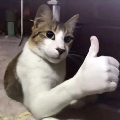 NULLZ