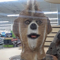 RubberHorseHead53