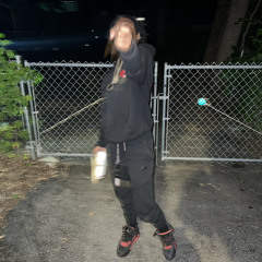 TMT Houdinii
