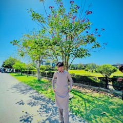 عمیر انصاری