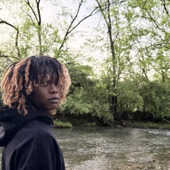 DVilln13