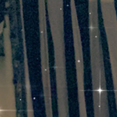 Ĝuner Alghamdi