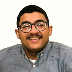 Mahmoud Talaat Elbadwy
