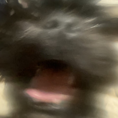 kiRAAAAA