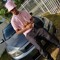 jay_breeze