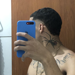 MC FS