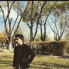Ayub Khan