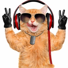 DJ Cat 571
