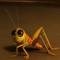crickit