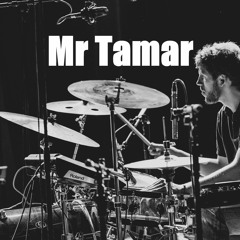 Mr Tamar
