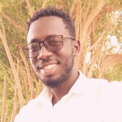 Mazin Mohmaed Taj Aldin