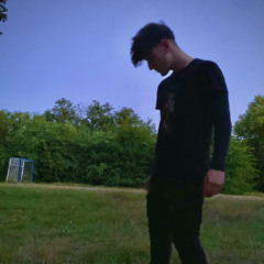 Gáspár Máté