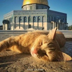 رَا نـ ـيَا.