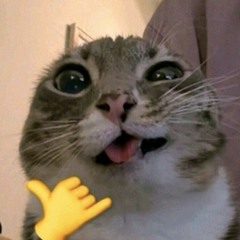 М1shanya_$pice