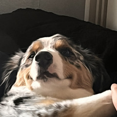 €|\/||\/|@