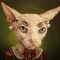 Ludo The Sphynx Lord