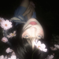 night