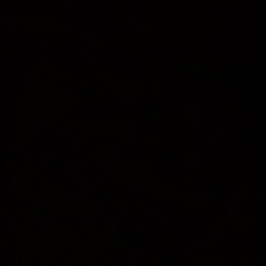 Lxve Rugrat ARCHIVE