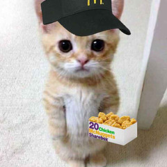 Brineshrimp24