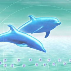 somnium*:･ﾟ✧aeternam