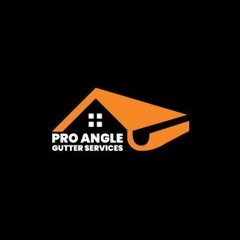 Pro Angle Gutter Services