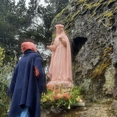 Maria Auxiliadora Mora