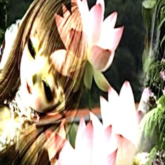 kaatnx0