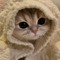 mimomimiﾟﾟ
