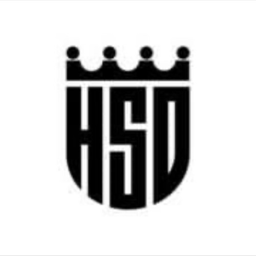 HIGH SPEED DUBBING (HSD)’s avatar
