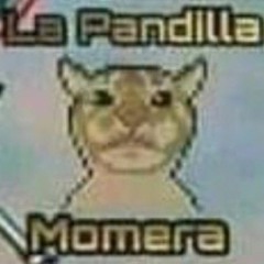 pandilla momera