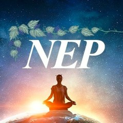 NÚCLEO ESPÍRITA PERSEVERE