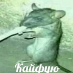 чацкий сантехнический