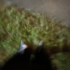 rqztd