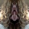 taylor_dia