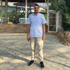 fady adel