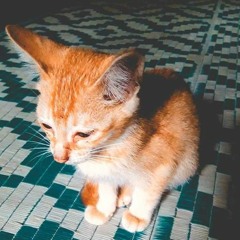 kusho❤