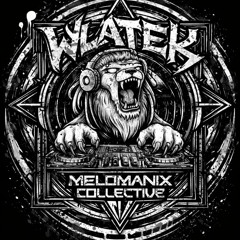 Wlatek (Melomanix Collective)