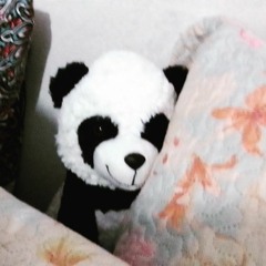 nanda