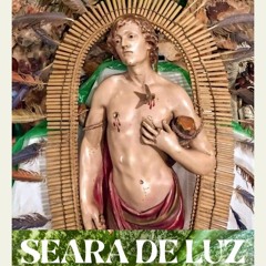 13.Arvoredo do sertão.mp3