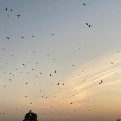 𝐌𝐚𝐡𝐞𝐞𝐧 𝐊𝐡𝐚𝐧