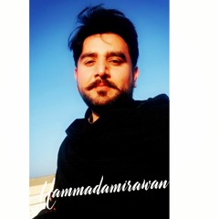 Hammad Amir Awan
